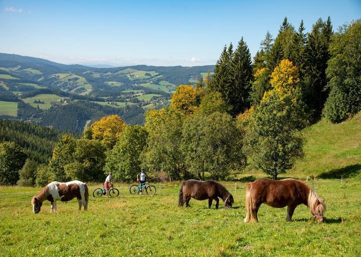 Gasthof & Pension zur Ente